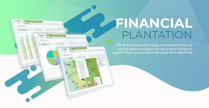 Financial for Plantation